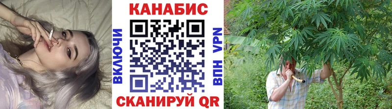KRAKEN зеркало  Северск  Бошки марихуана ГИДРОПОН 